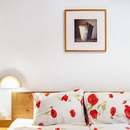 Heidelberg Pensjonat Hopfgarten im Brixental