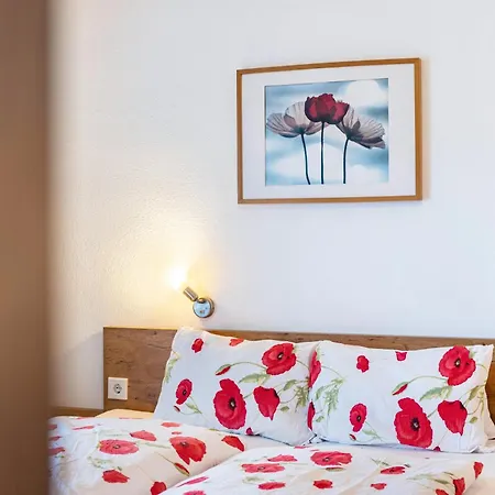 Heidelberg Pensjonat