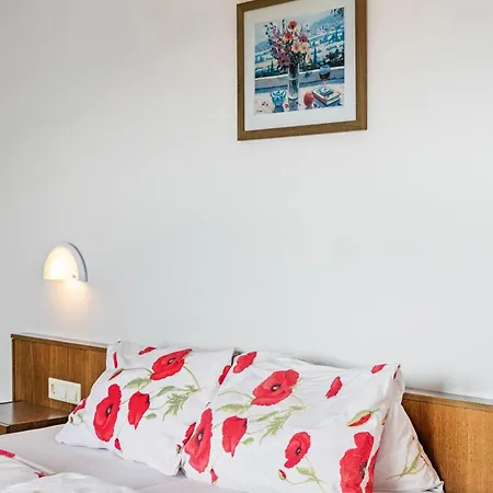 Heidelberg Pensjonat