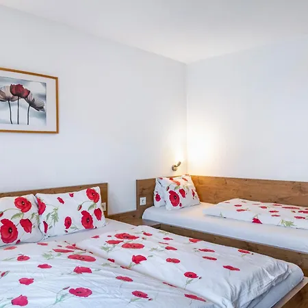 Heidelberg Hopfgarten im Brixental