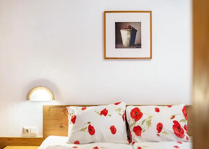 Heidelberg Gasthuis Hopfgarten im Brixental